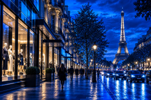 Retail industry in France with Paris retail stores, installation and logistics